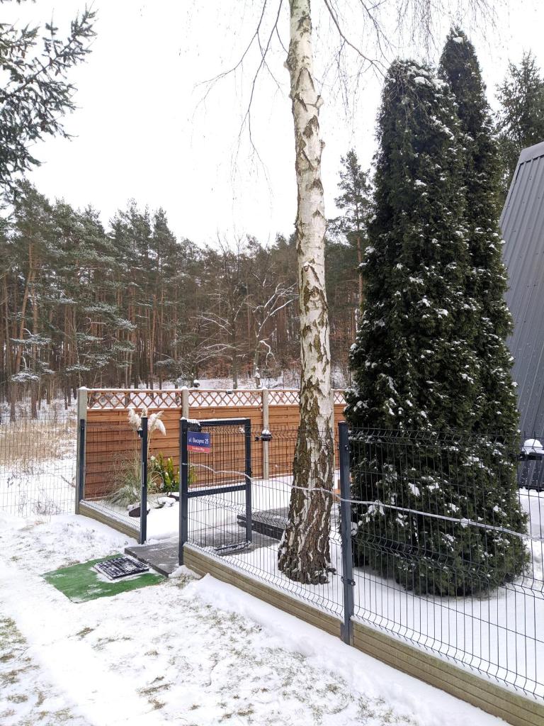 Bukowy Domek Całoroczny photo 4