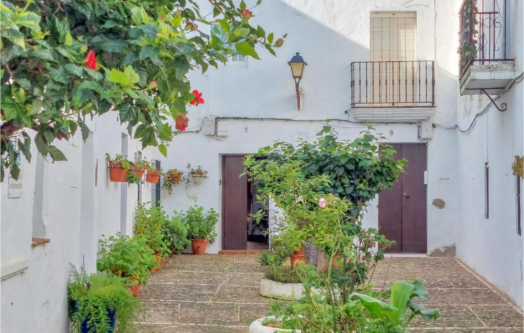 Stunning Apartment In Vejer De La Frontera With 2 Bedrooms And Wifi