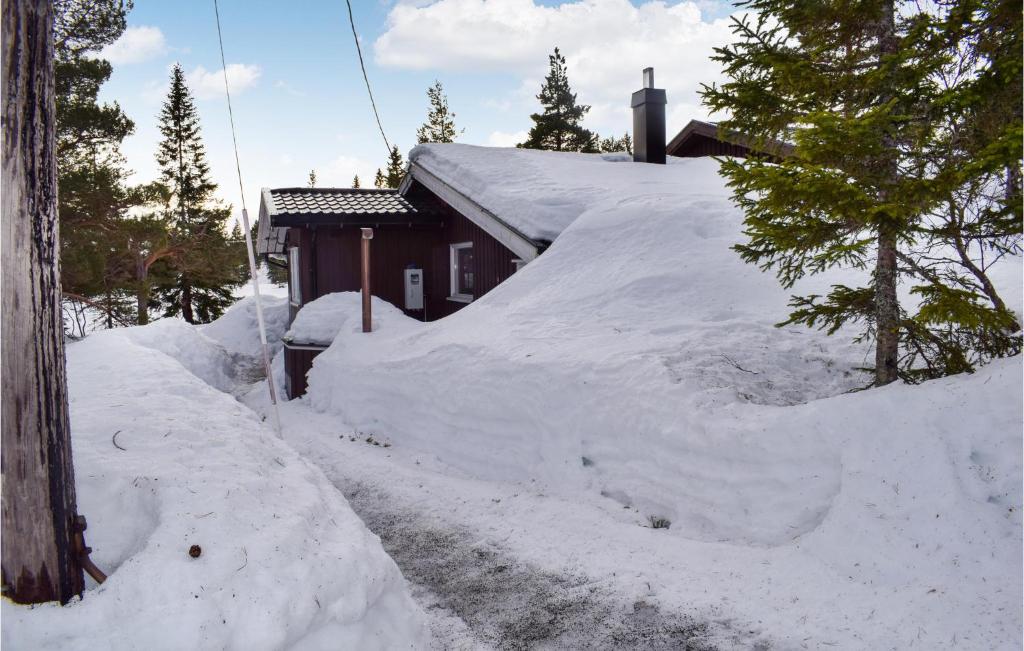 Amazing Home In Passebekk With 3 Bedrooms