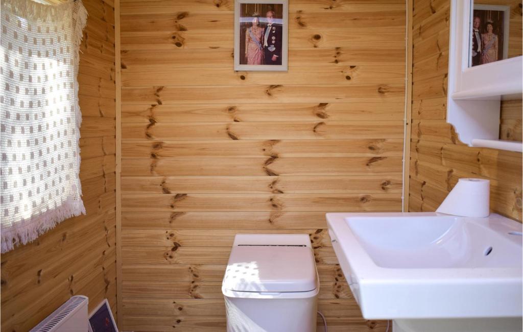 Awesome Home In Figeholm With Sauna photo 4
