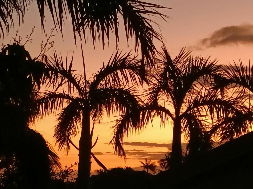 Villa Couleurs du Sud Sauvage photo 4