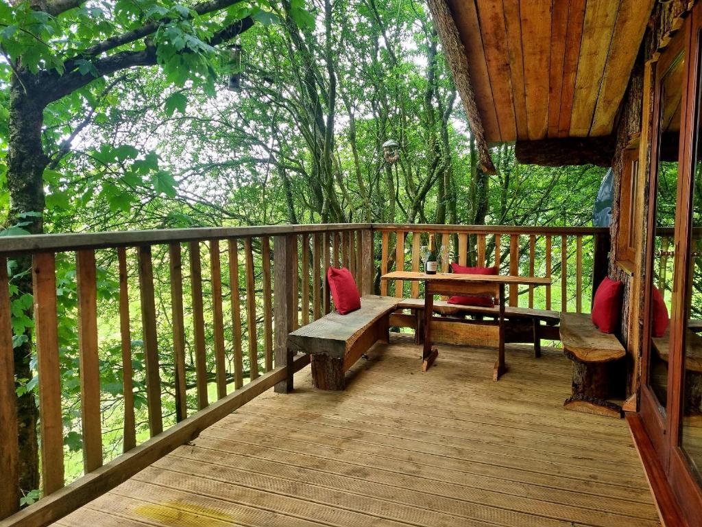 Tree House photo 3