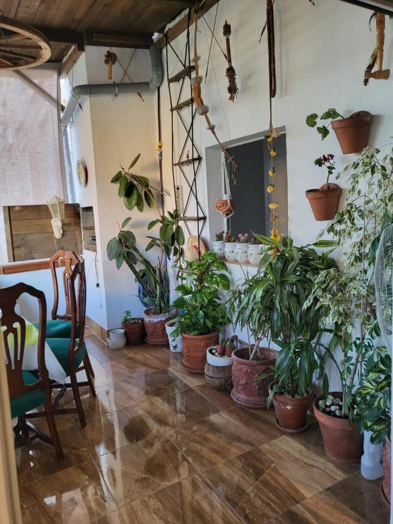Casa Violeta photo 2
