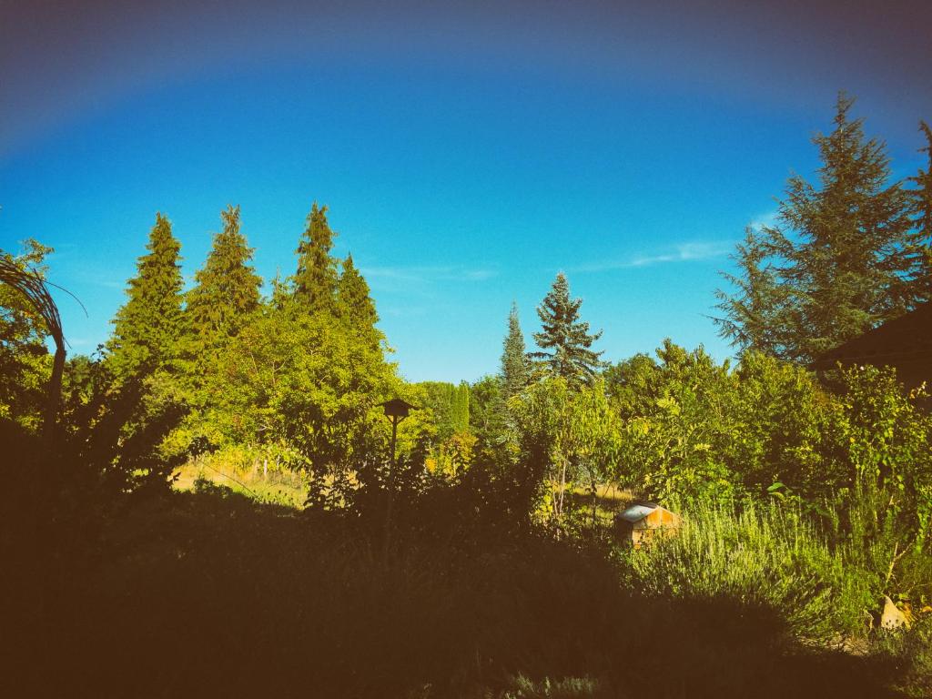 La Montagne Sud photo 1