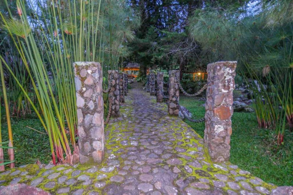 Finca Punta de Piedra Salento, Quindio photo 3