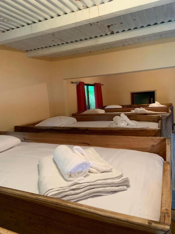 Planet B Hostel - Adults Only photo 4