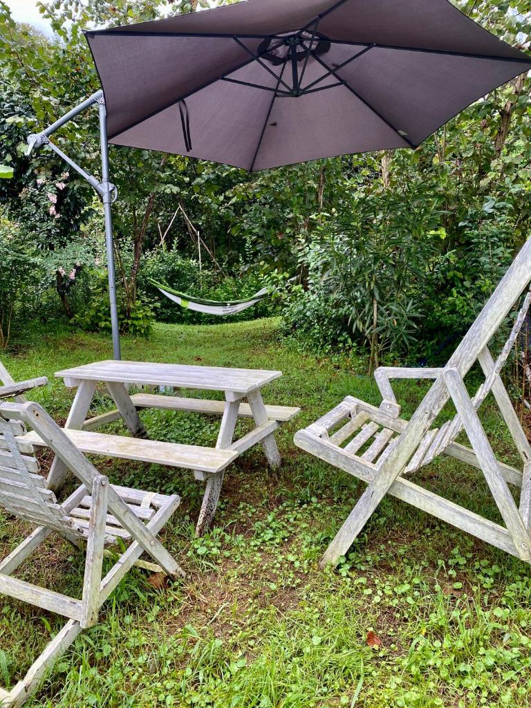 Guest House Botanical Paradise photo 3