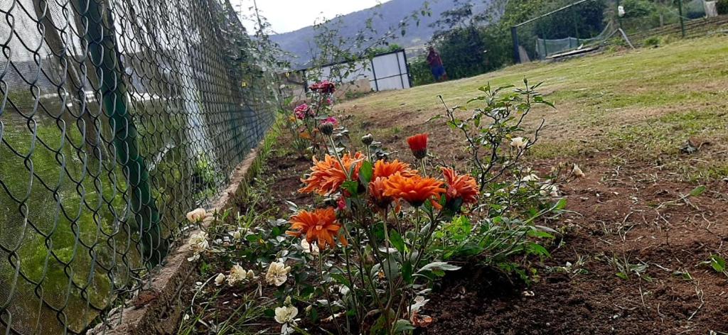 Hirun Holiday Bungalow photo 4