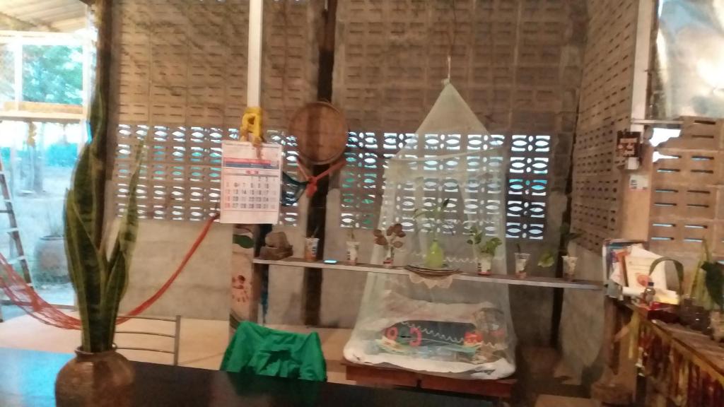 Uma farm photo 3
