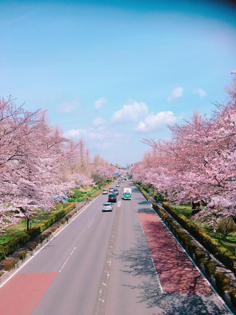 日久の宿 photo 2