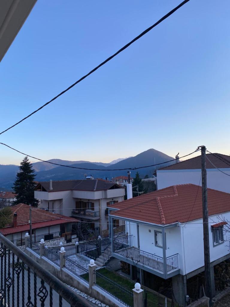 Αρτέμιδα Karpenisi Apartment photo 3