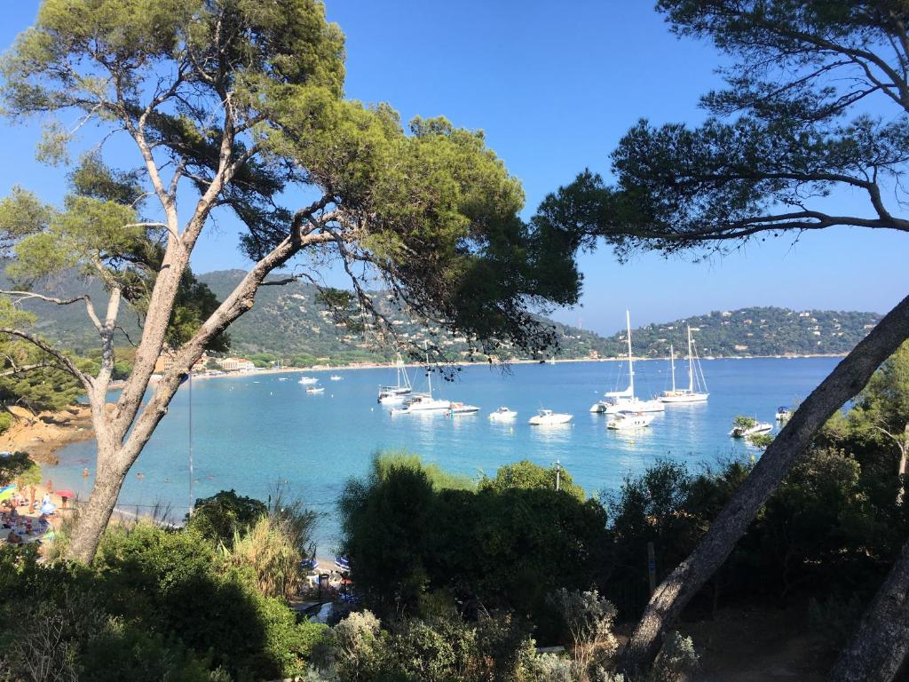 Cap Sud,apt 4p,vue mer,pr plage photo 1