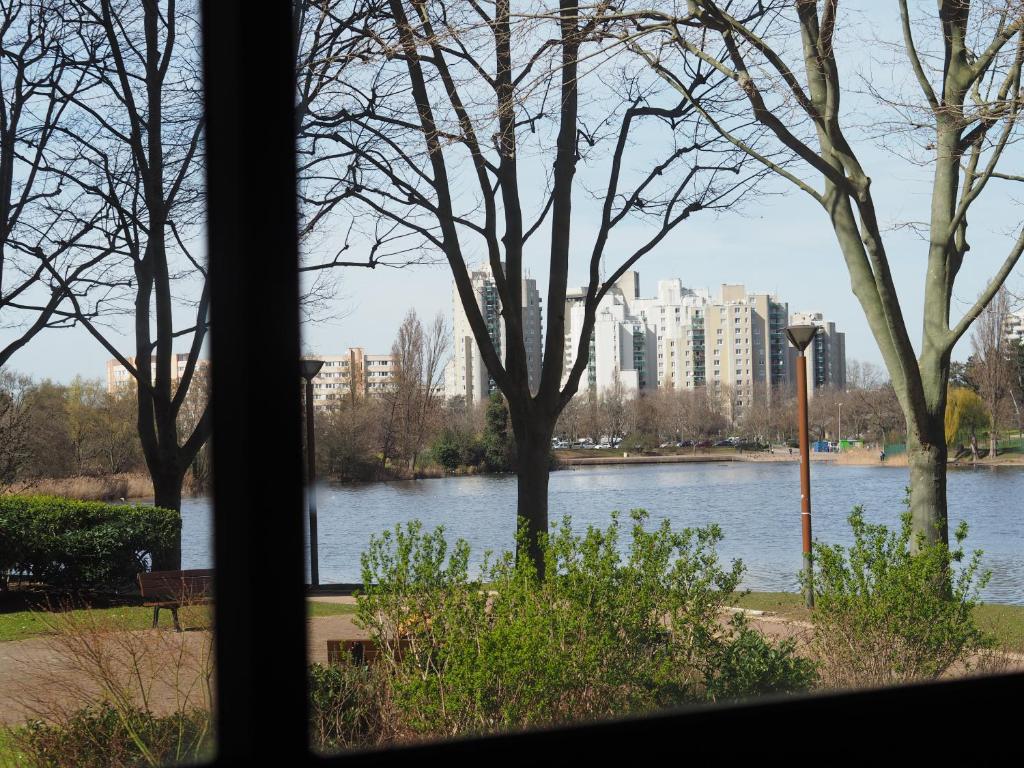 La Charmille du Lac photo 2