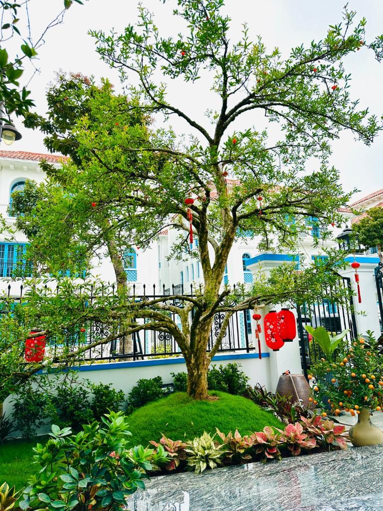 The View Villa & Homestay