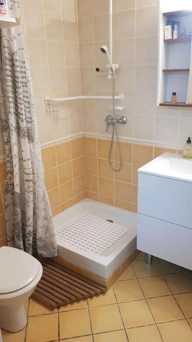 Appartement de 50m2, climatisé avec terrasse et parking photo 3