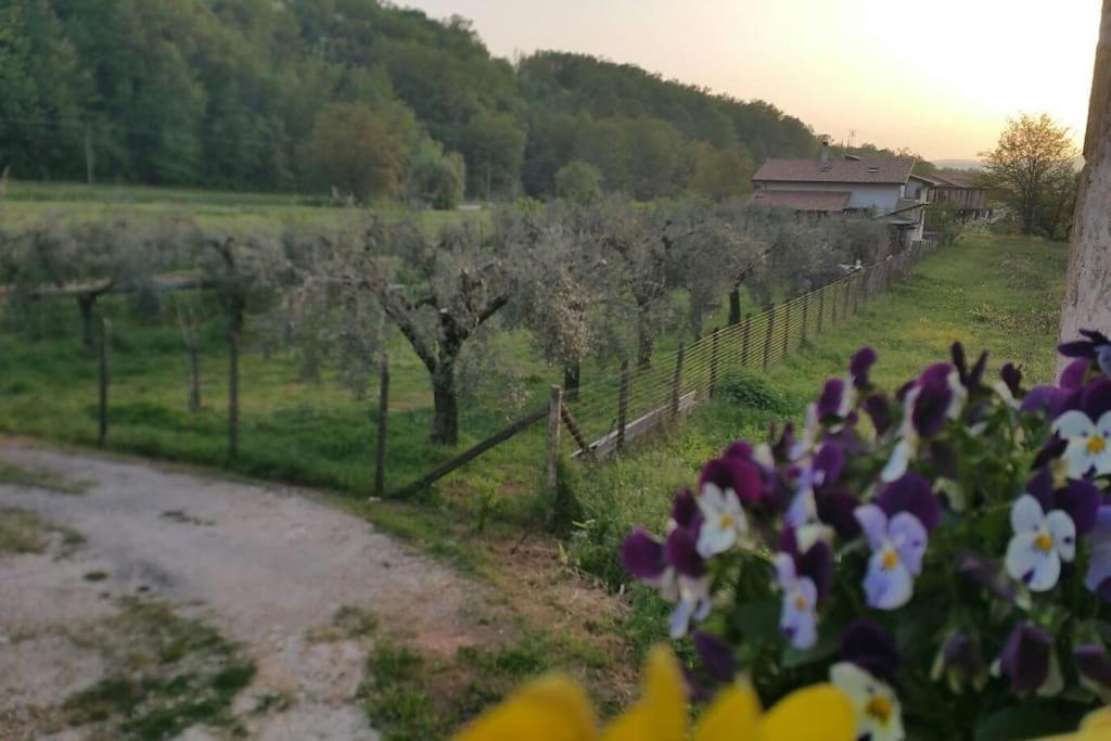 Casa Vacanze Minula - Indipendent Country House photo 3