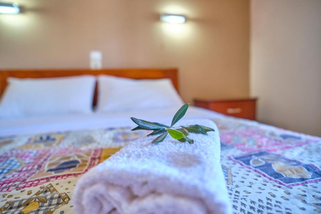 Theodora Apartments Agios Stefanos Corfu photo 3