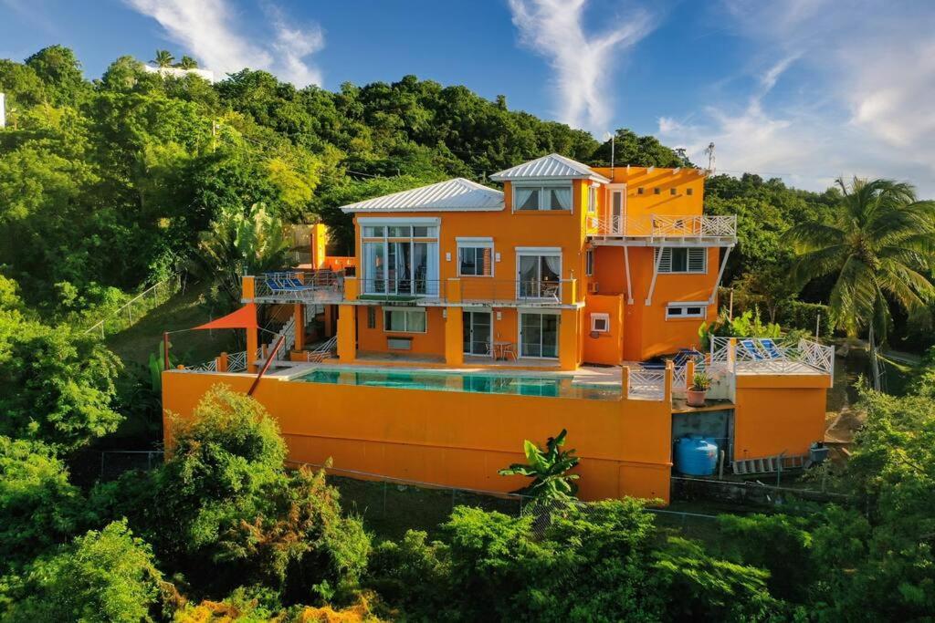 Vieques Villa Gallega - Oceanview w/Infinity Pool photo 4