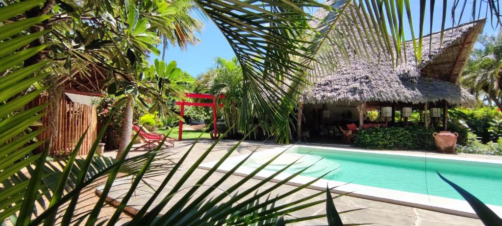 Lions' Luxury Eco Resort & Spa photo 2