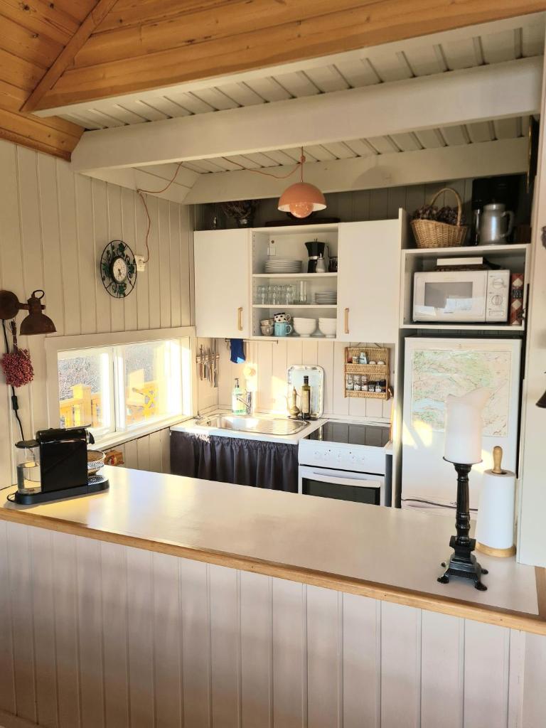 Cozy Cottage in Icelandic nature with Hot tub photo 4