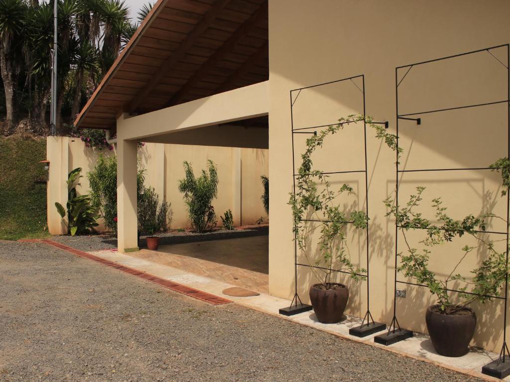 Casa Sofia, a Gem Close to Orosi Thermal Pools! photo 1
