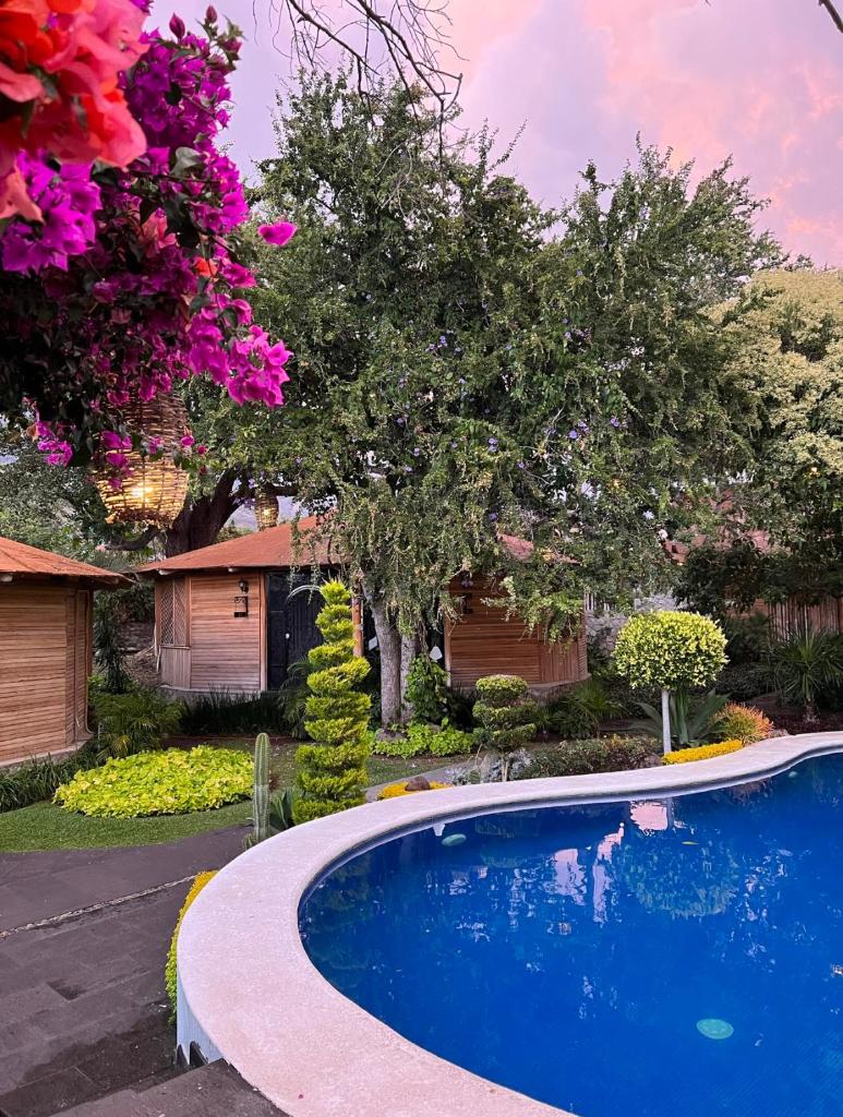 Villa Armonia Hotel & Spa photo 2