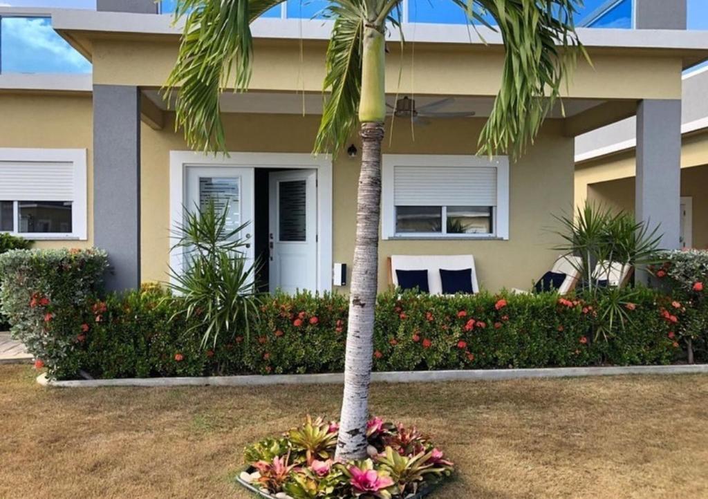 CCBS Paradise Jamaica photo 2