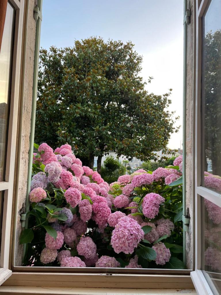 La Maison d’Hortense et Lili photo 3