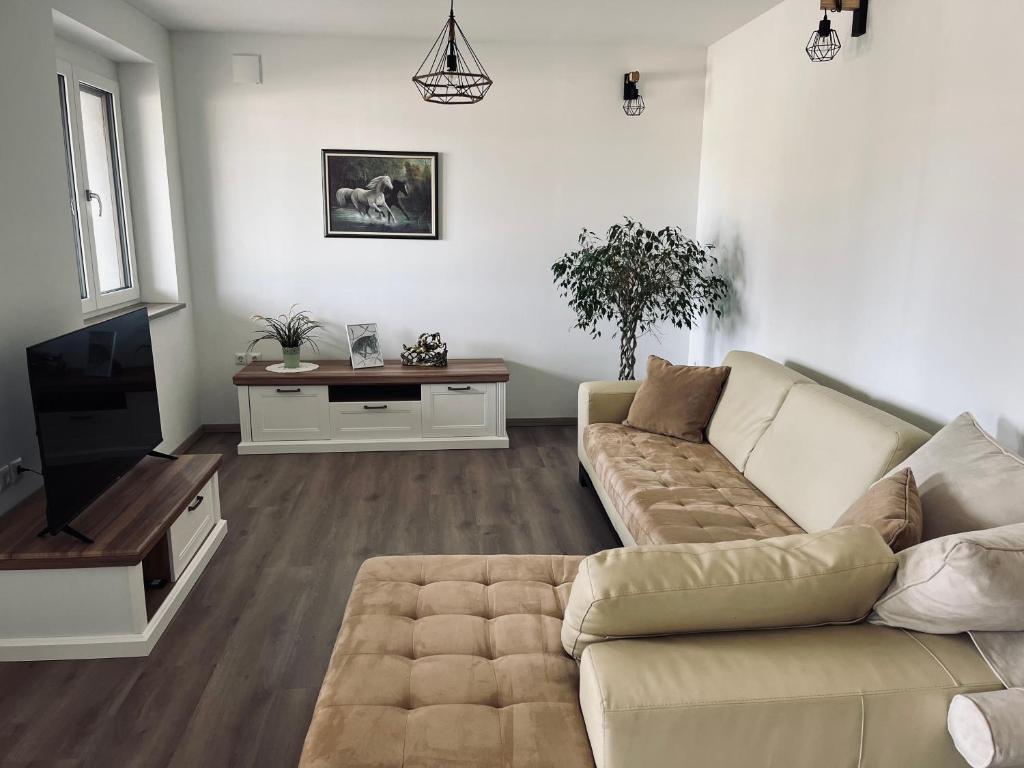 Apartment Country House Zaton photo 1