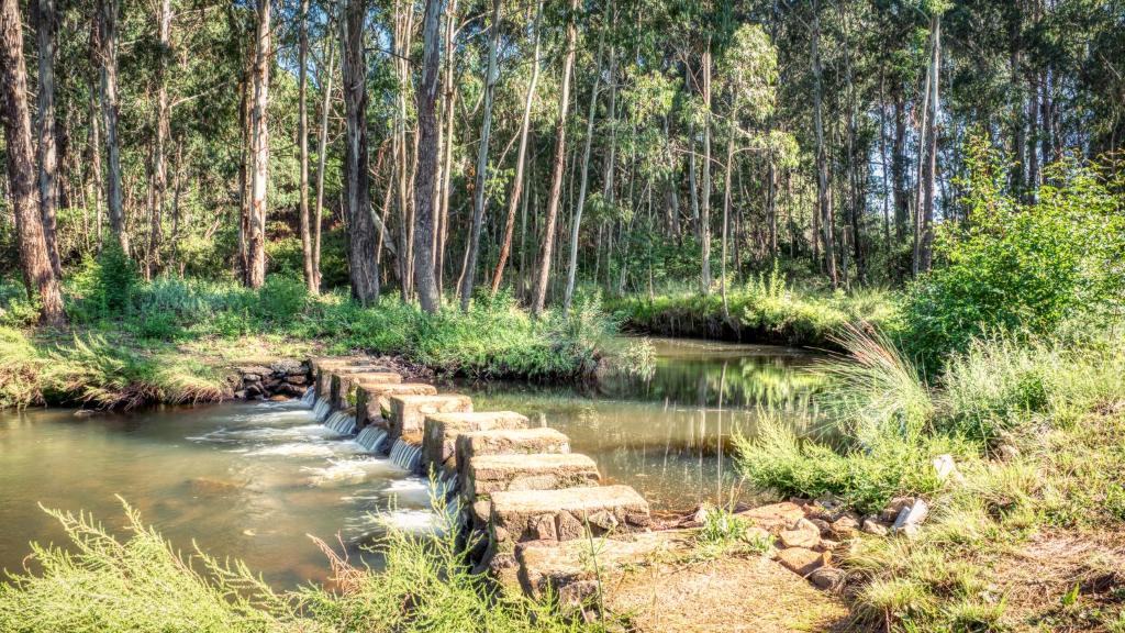 Trout Escape Farm photo 4