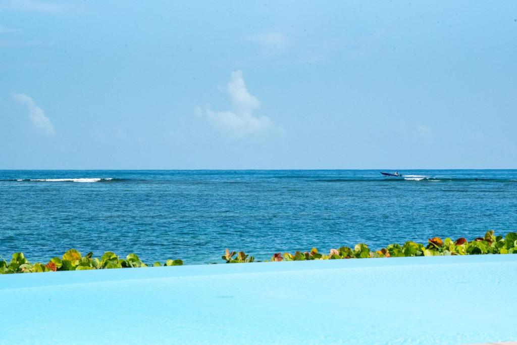 PASHA - Ocean view photo 1