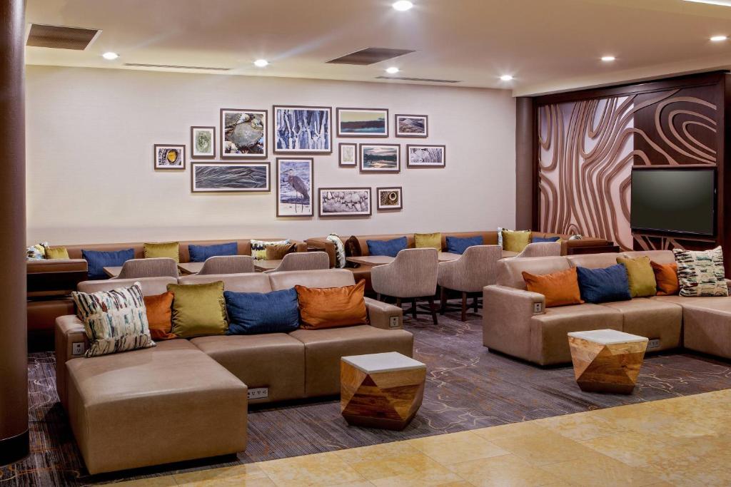 Delta Hotels by Marriott Chesapeake Norfolk photo 4