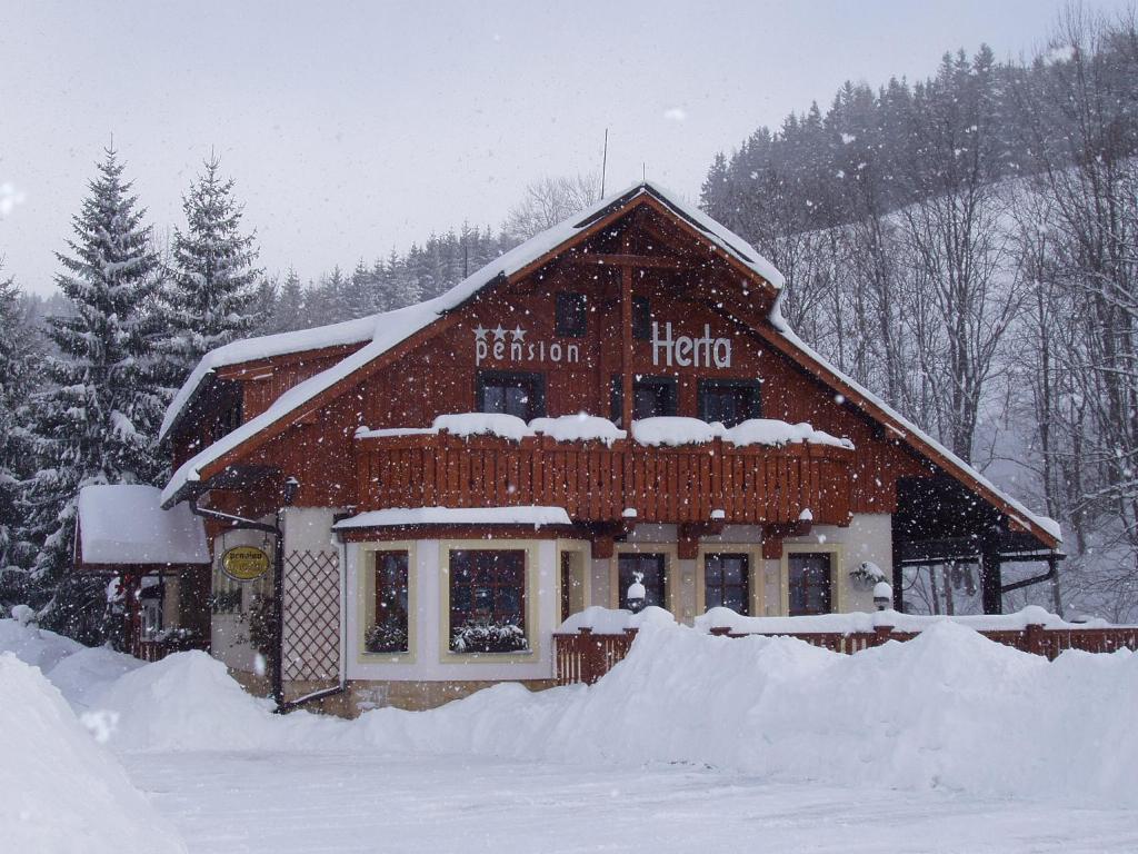 Pension Herta photo 1