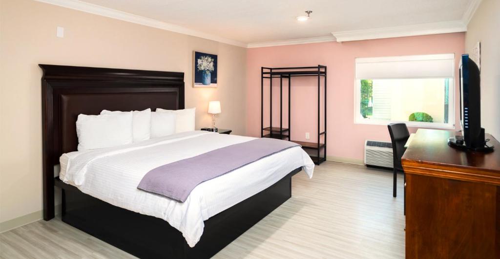 Bella Vista Hotel & Suites photo 3