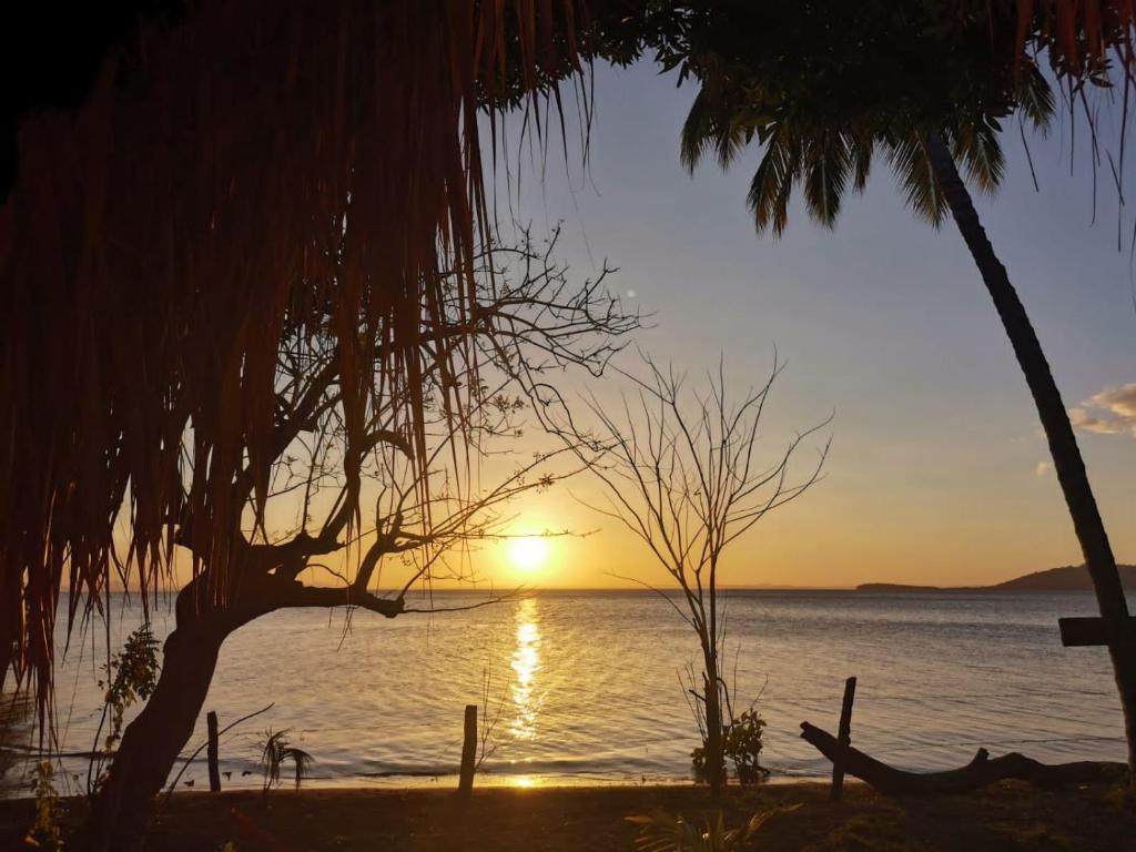 La Sirenita - Ometepe photo 2