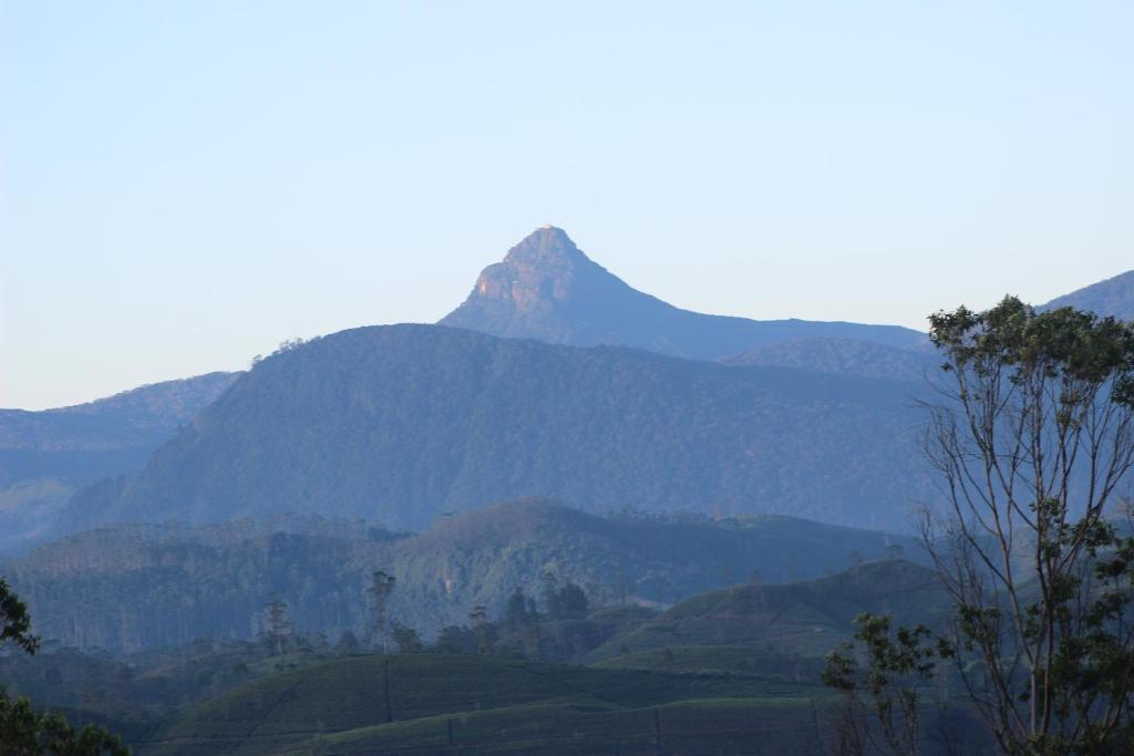 Tranquil Ridge Hilltop Bungalow photo 4