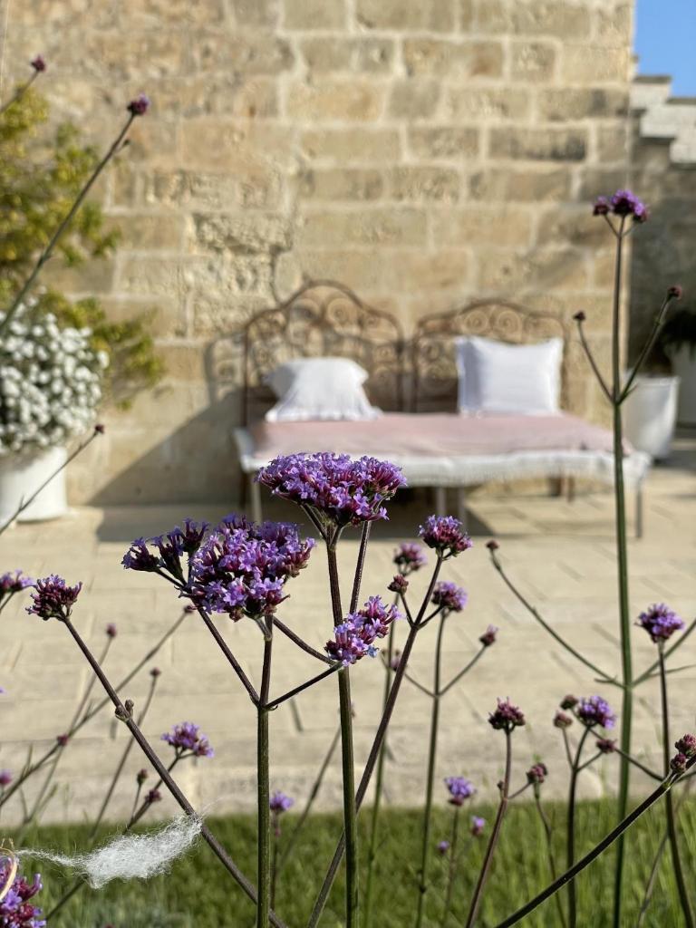 Masseria Spartivento photo 4