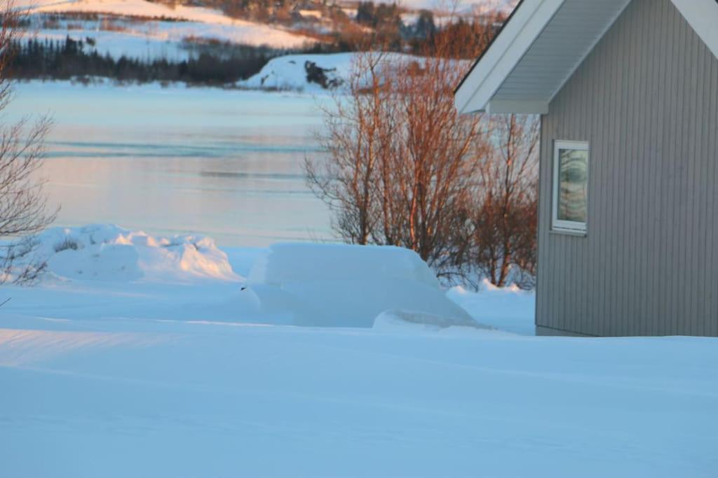 Paradise near Reykjavik w. Sauna - Northern Lights photo 3