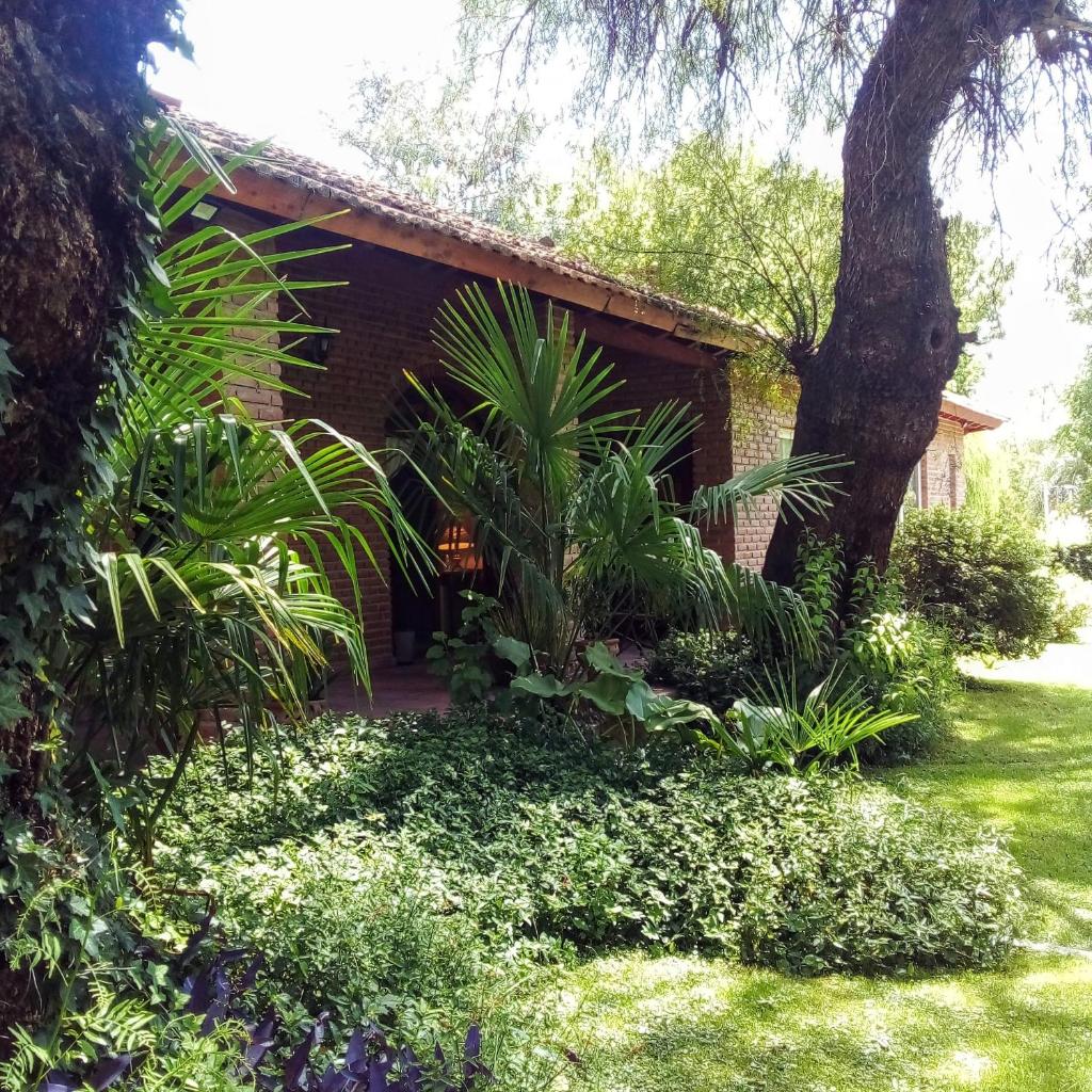 Libertad Posada y Spa photo 2
