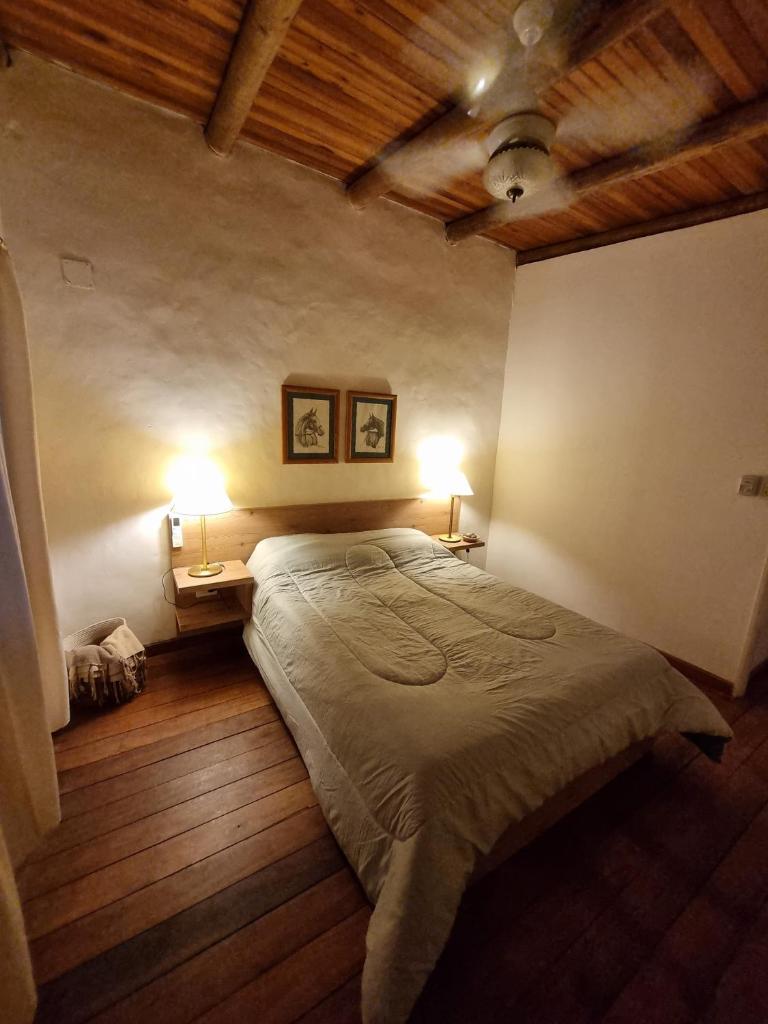 Pindó I photo 2