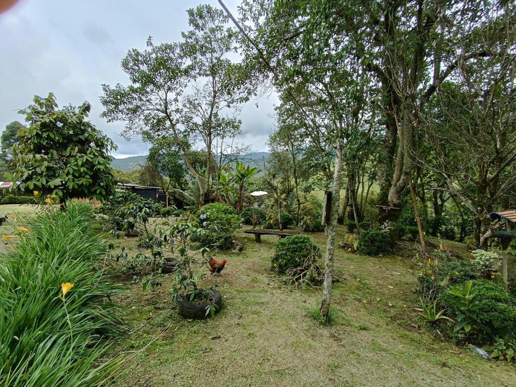 El ZORZAL photo 1