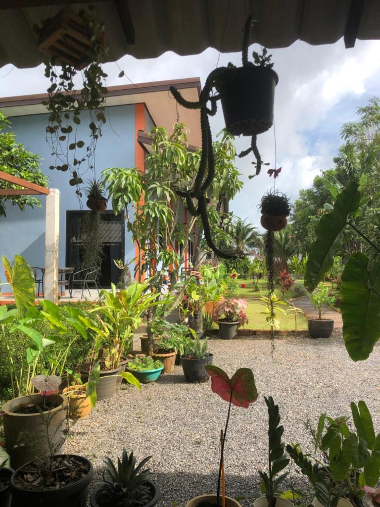 Villafarmsuk@khanom photo 1