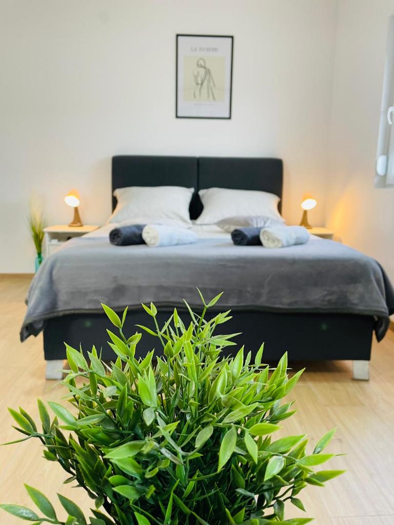 Muki apartments photo 4