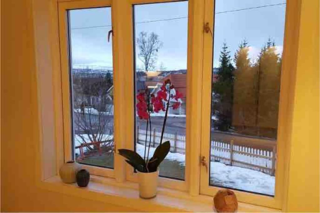 Villa Arctica photo 3