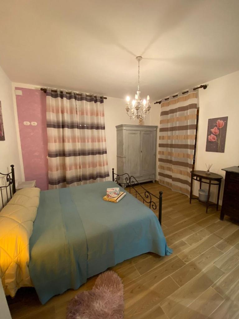 Oca Carolina photo 1