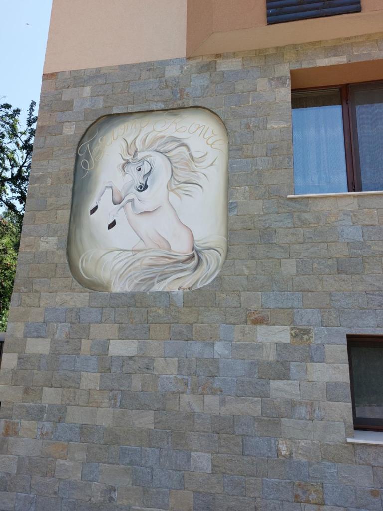 Къща за гости Бялото Конче photo 4