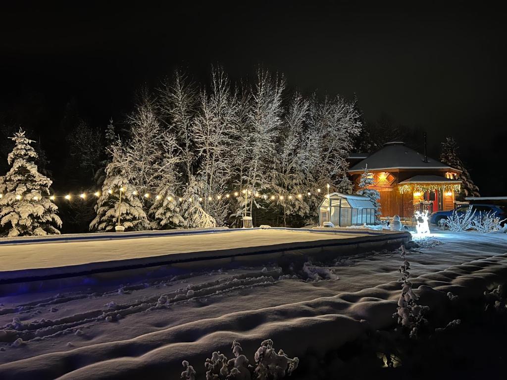 OR Luxury yurt-like home in Bretton Woods with private beach firepit AC fishing and trails image