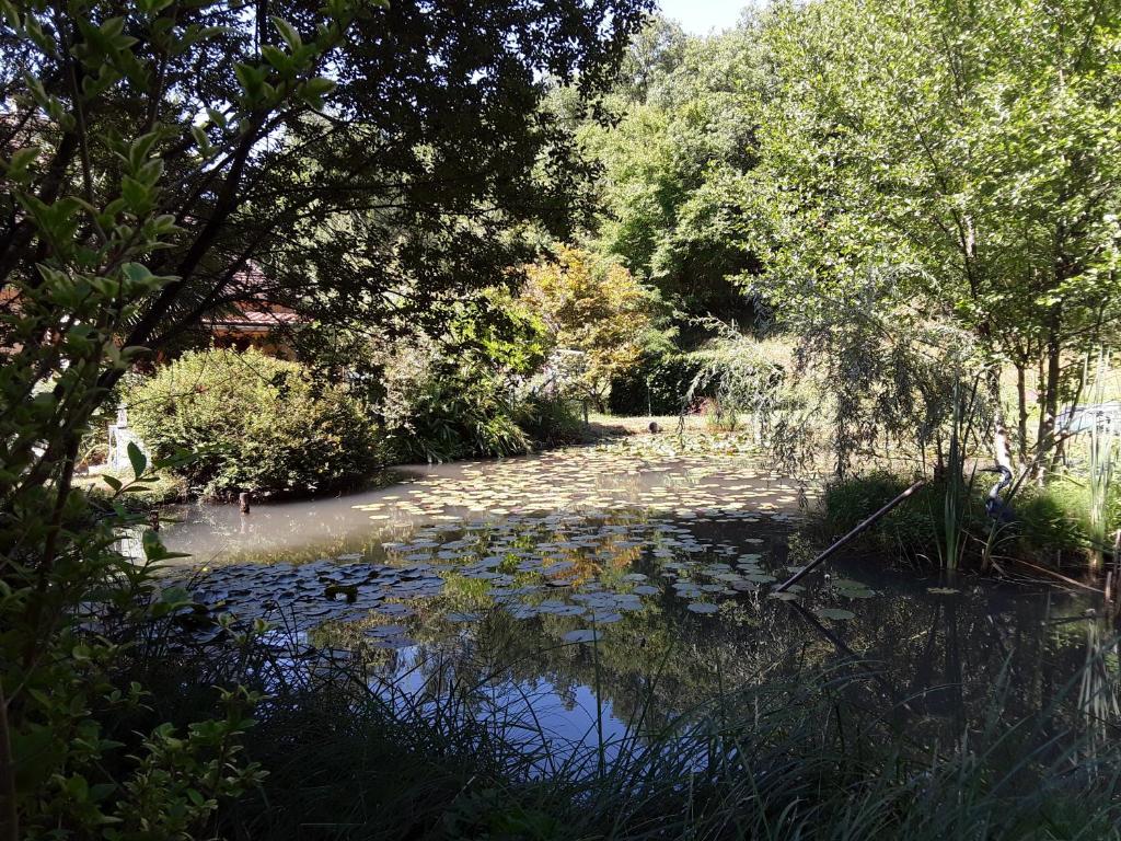 Le chalet de la grenouille verte photo 3