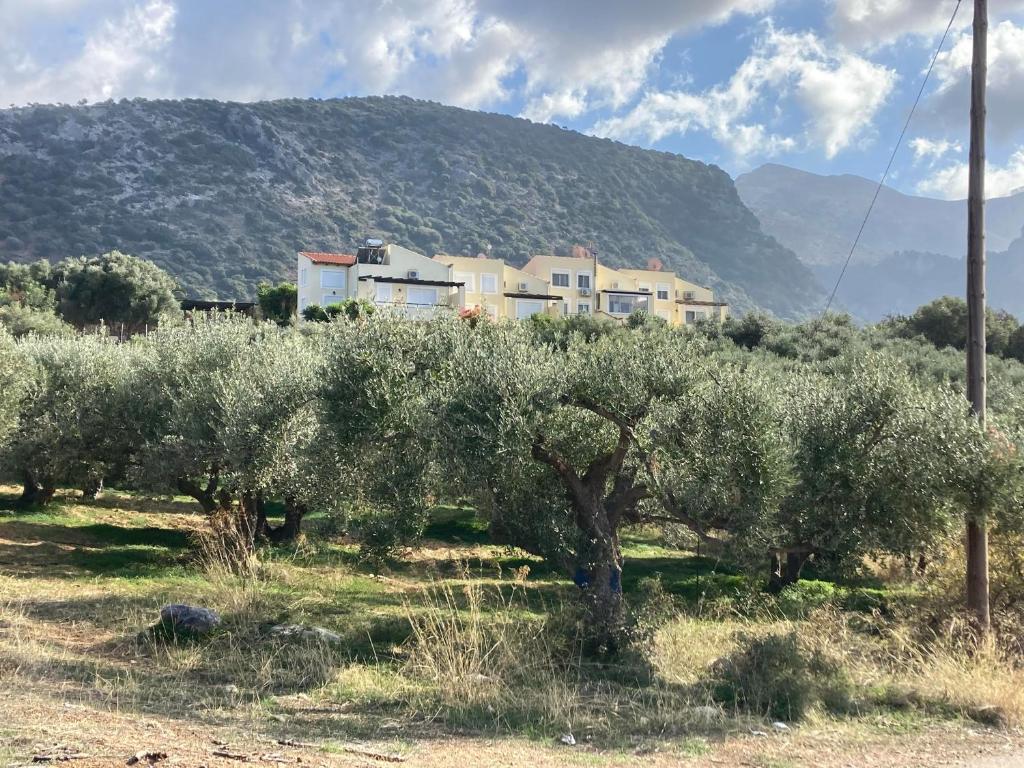 Sissi - Villa Eleftheria photo 4