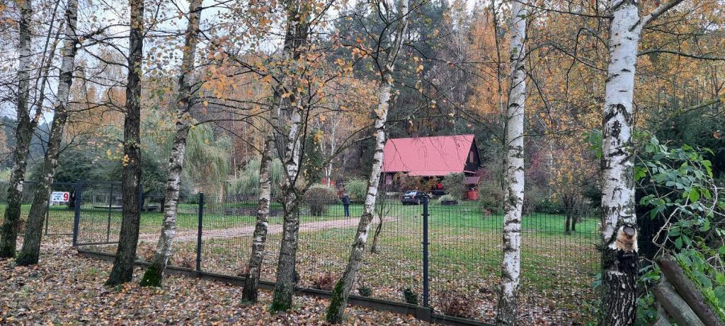 Klimatyczny domek blisko natury na Podlasiu - Wysokie Laski 9! photo 1